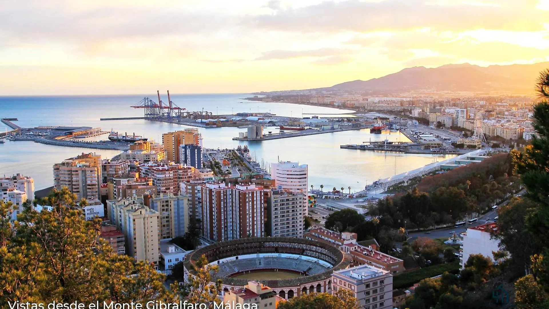 Living4Malaga Studio Boheme Málaga